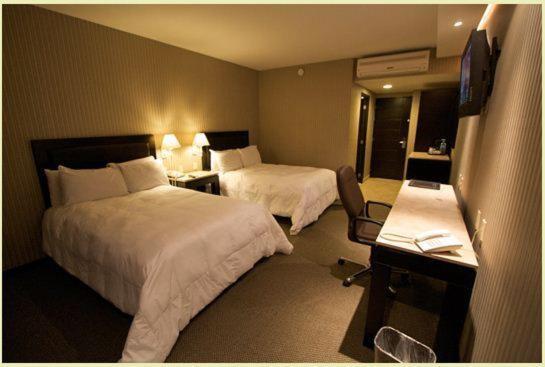 Hotel Gobernador Durango Rum bild